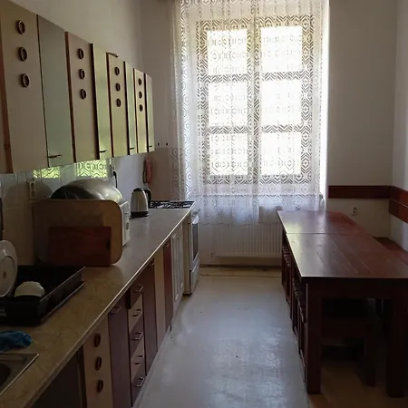 בית אירוח Ubytovani V Triluzkovem Pokoji *