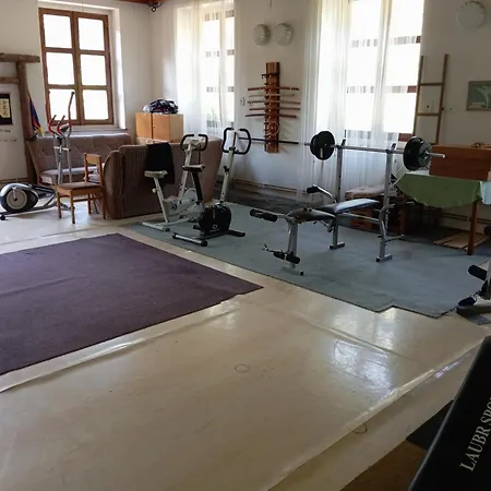 בית אירוח Ubytovani V Triluzkovem Pokoji Cakova
